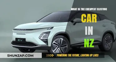Affordable Electric Vehicles: Discover New Zealand's Cheapest EV Options