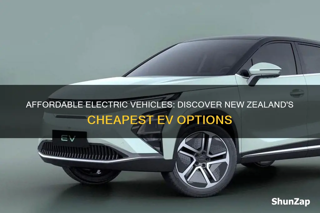 what is the cheapest electric car in nz