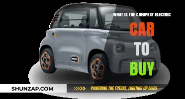 Affordable Electric Vehicles: Discover the Cheapest EV to Buy Today