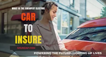 Affordable Electric Car Insurance: Top Budget-Friendly EV Options Revealed