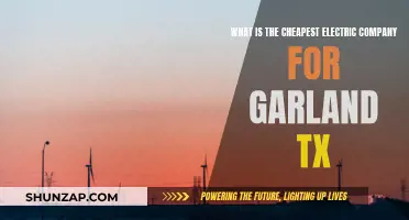 Electric Companies in Garland, TX: Who Offers the Best Rates?