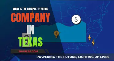 Electric Companies in Texas: Who Offers the Cheapest Rates?