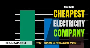 Switching to the Cheapest Electricity Company: How to Save?
