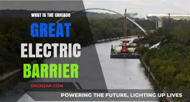 Electric Barrier Protects Chicago from Invasive Species