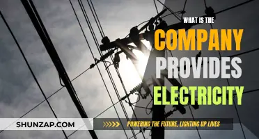Electricity Providers: Powering Homes and Businesses