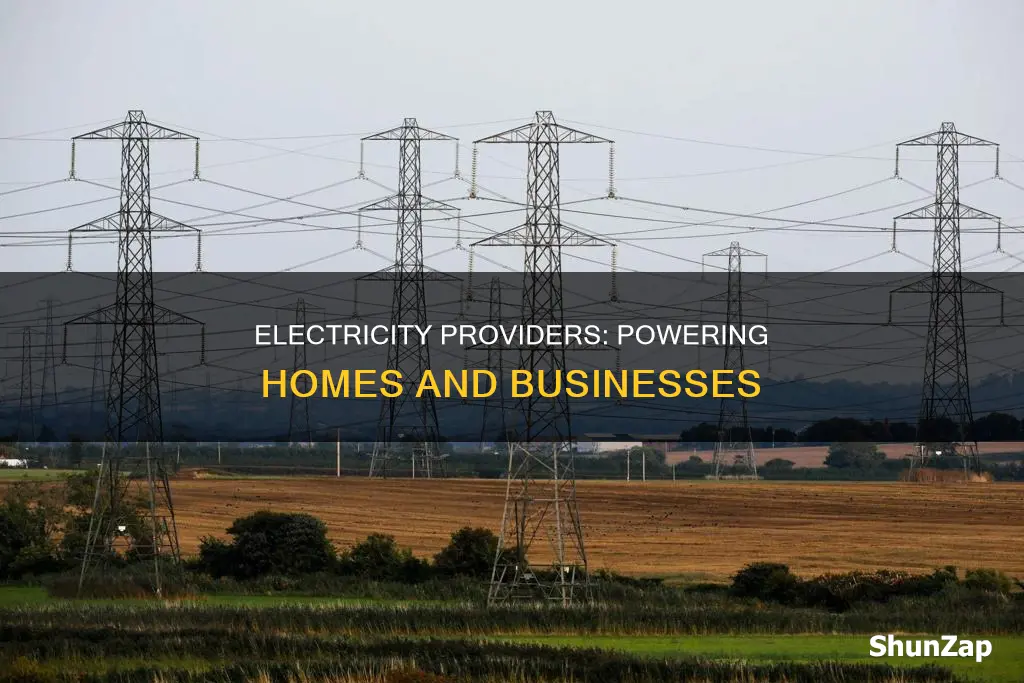what is the company provides electricity