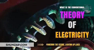 Electricity's Conventional Theory: A Historical Perspective