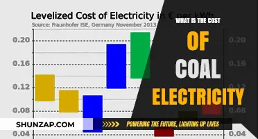 The True Cost of Coal-Fired Electricity