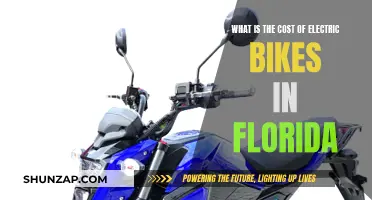 Electric Bike Costs: Florida's Expensive Two-Wheeler Revolution