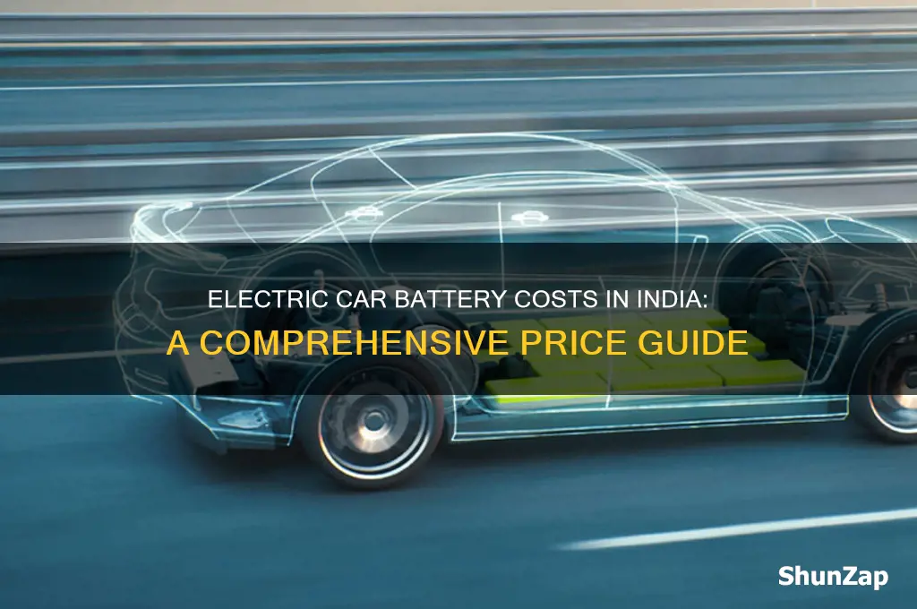 what is the cost of electric car battery in india