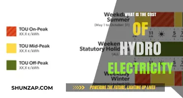Hydro Power: Cost of Going Green?