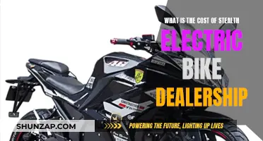 Stealth Electric Bike Dealership: What's the Real Cost?