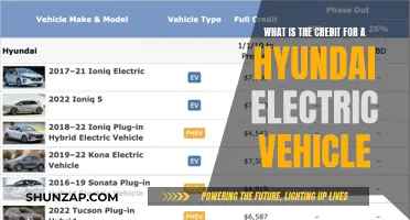 Unraveling the Mystery: Hyundai's Electric Vehicle Credit