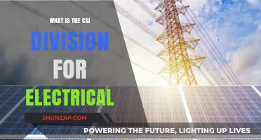Electrical Work and the CSI Division