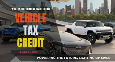 Electric Vehicle Tax Credit: GM's Incentives Explained