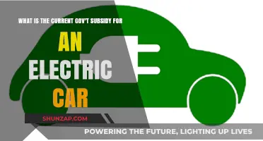 Current Government Electric Car Subsidies: What You Need to Know