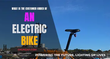 How to Order an Electric Bike: A Customer's Guide