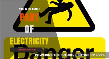 Electricity's Lethal Side: Understanding the Dangers