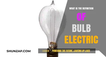 Electric Bulbs: How Do They Work?