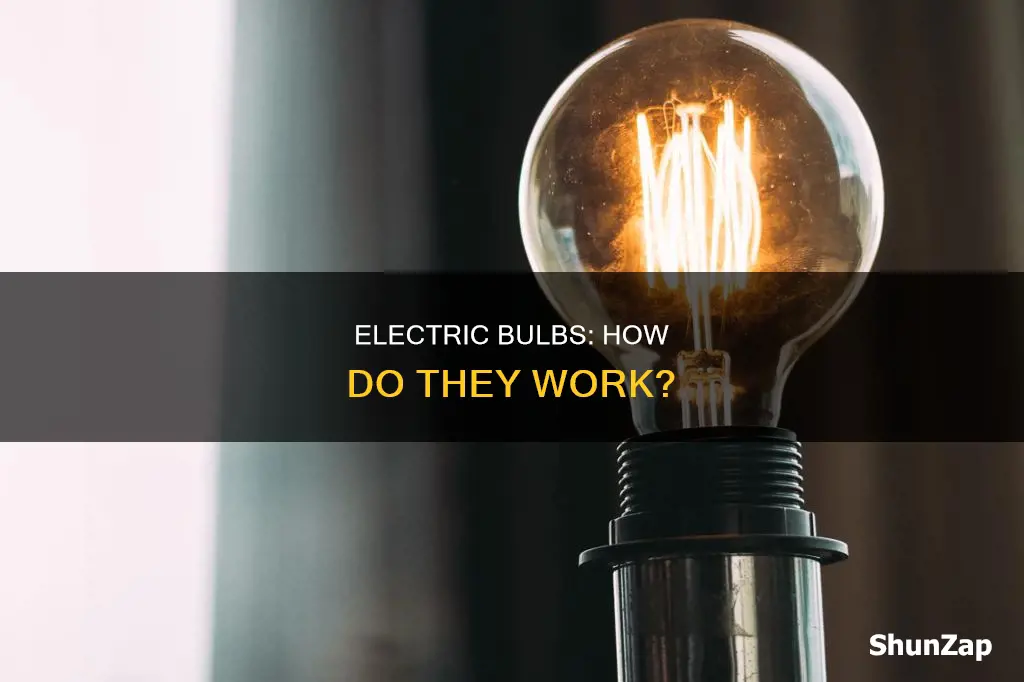 what is the definition of bulb electric