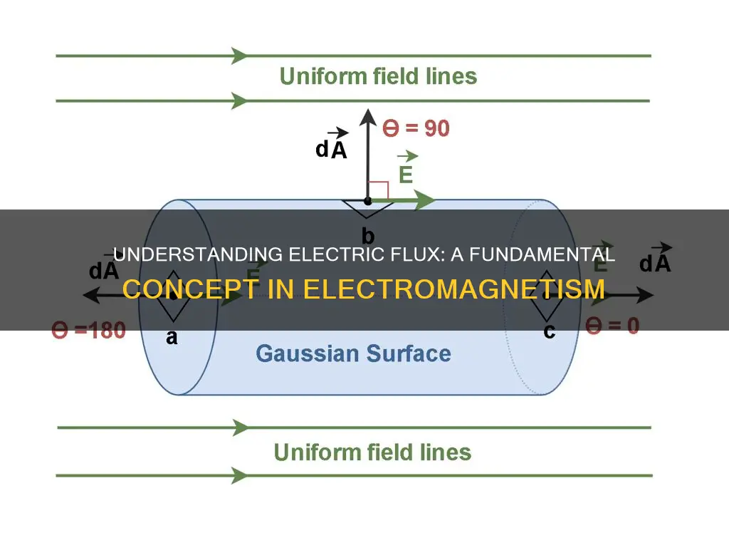 what is the definition of electric flux