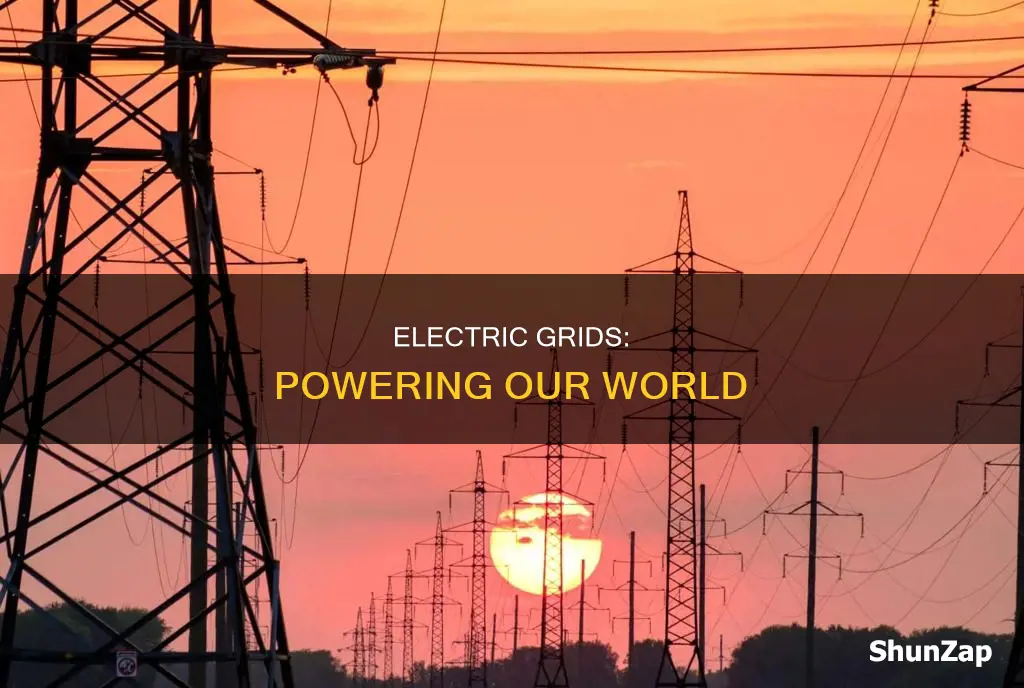 what is the definition of electric grid