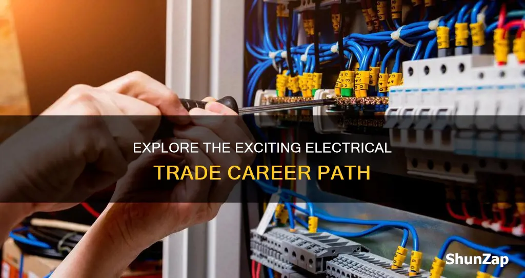 what is the definition of electrical trade