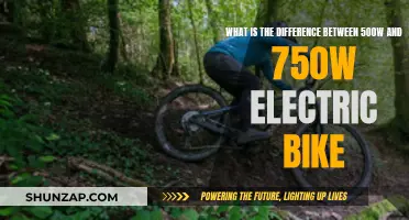 How Much Power Do You Need? 500W vs 750W Electric Bikes