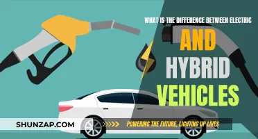 Electric vs Hybrid Vehicles: Understanding the Core Differences