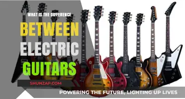 Electric Guitar Types: What's the Difference?