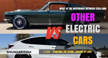 Tesla vs. Other Electric Cars: Key Differences and Innovations