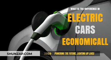 Electric Cars: Economic Differences and Long-Term Financial Benefits Explained