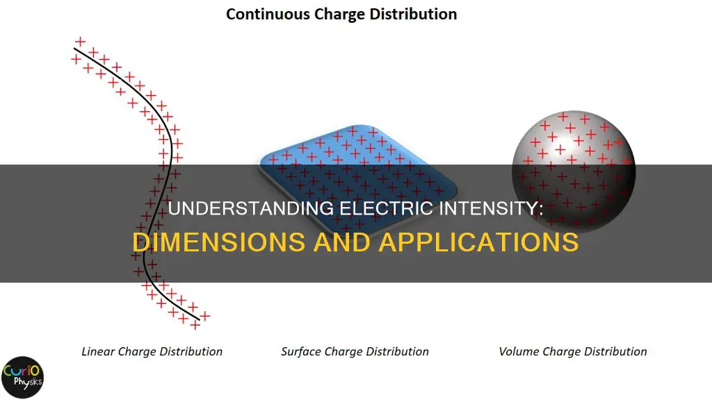what is the dimension of electric intensity