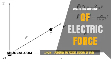 Understanding Electric Force: Direction and Its Impact