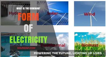 The Power Play: Dominant Electricity Form Revealed