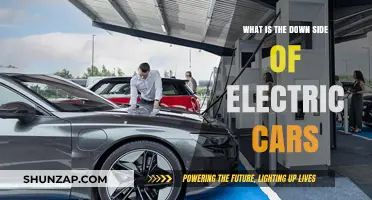 Electric Cars: Uncovering the Hidden Downsides and Challenges