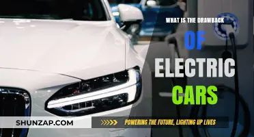 Electric Cars: Uncovering the Hidden Downsides of Going Green