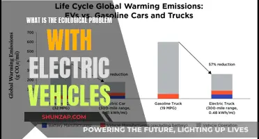 Green Machines: Uncovering the Environmental Trade-offs of Electric Vehicles