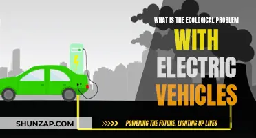 Electric Vehicles: Eco-Friendly or Environmental Disaster?