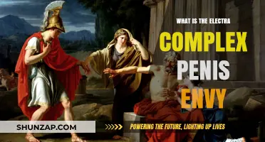 Understanding the Electra Complex and Penis Envy