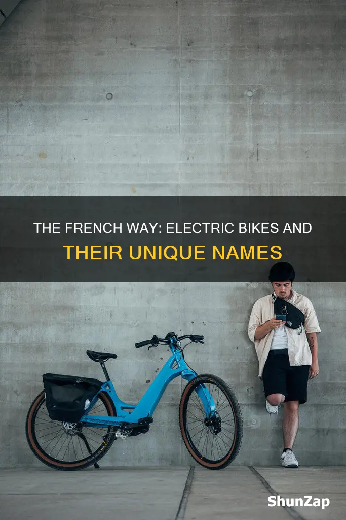 what is the electric bike that french people ride called