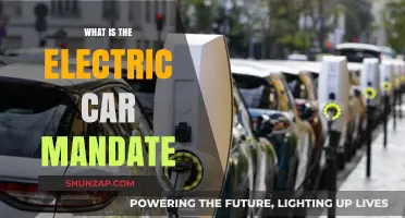 Understanding the Electric Car Mandate: A Comprehensive Guide to Its Impact
