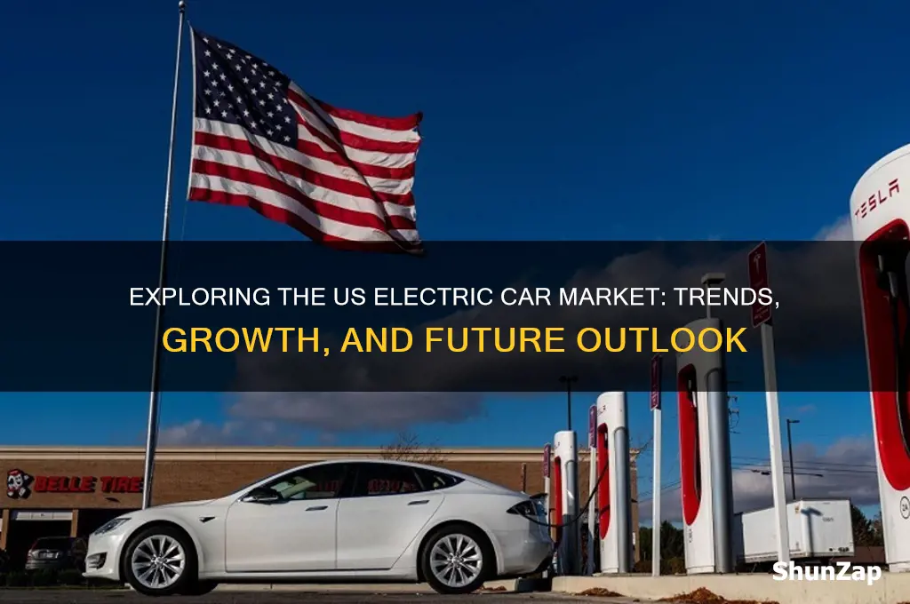 what is the electric car markte in the us