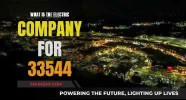 Unveiling the Mystery: Who's the Electric Company in 33544?