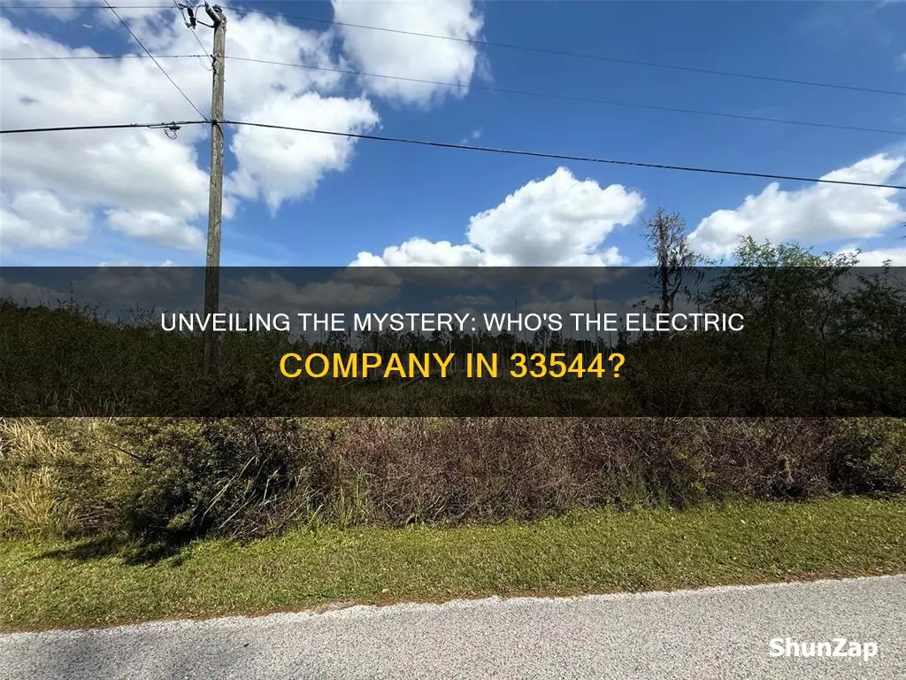 what is the electric company for 33544