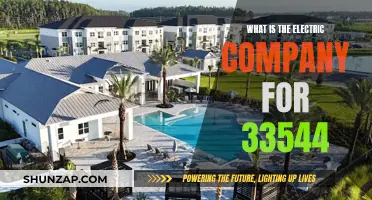 Electric Company for 33544: Who Powers This Area?