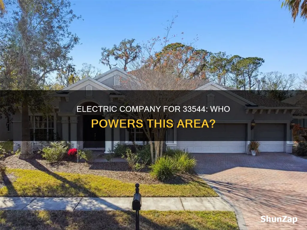 what is the electric company for 33544