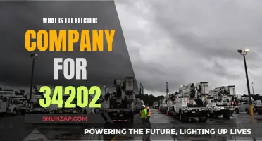 Unveiling the Mystery: Who's the Electric Company in 34202?