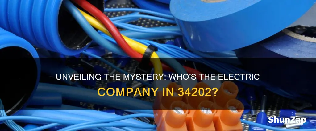 what is the electric company for 34202