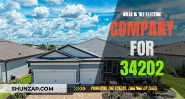 Electric Company Services: Unveiling the Offerings in 34202